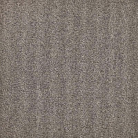 Ковровая плитка Modulyss 24 First Forward First Forward 140 фото 1 | FLOORDEALER